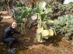 Cactus picking for a nutritios stirfry
